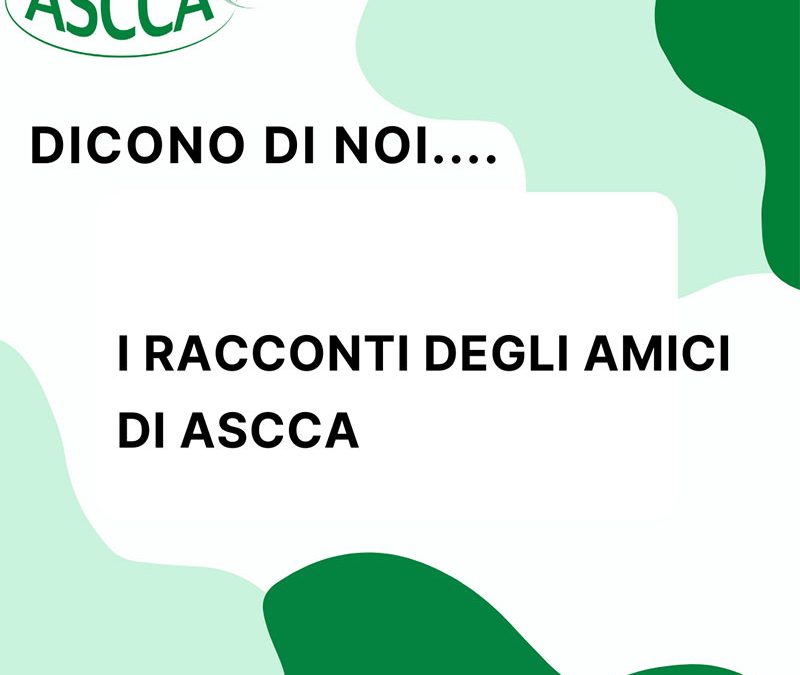 Dicono di Noi